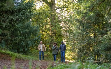 Three adults walking through the forest on a sunny day in their coats