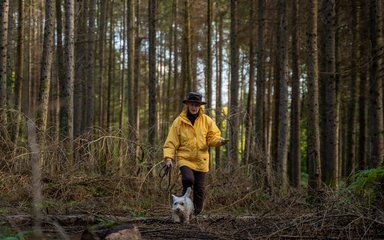 Woman walking dog in the forest 