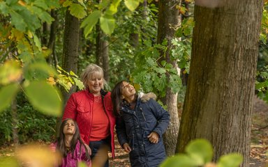 Family looking up into the tree canopy