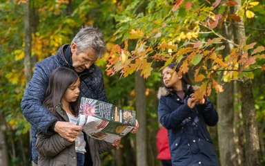 Family following a map in the forest