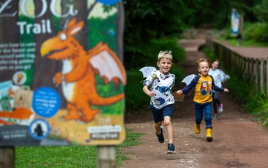 Kids running at Zog trail in forest