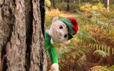 Elf hiding behind tree