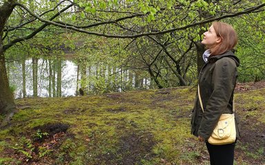 Woman looking up at trees by lake