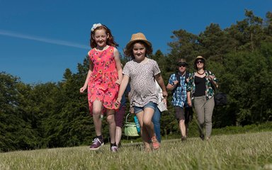 Family walking with picnic in sunny field