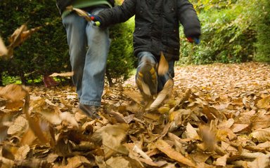 Autumn Seasonal Trail