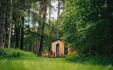 Cabin in a forest