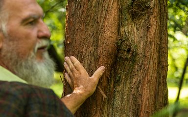 Man touching a tree with his hand