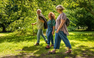 Three friends walking in the woods 