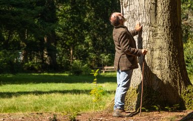 Man touches tree trunk