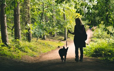 Woman walking her dog, silhouetted against forest background