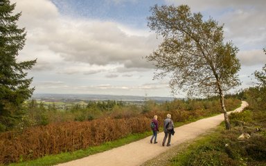 a couple walking along a wide forest rail with a panorama