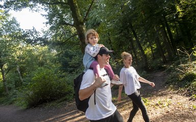 Family walking on a forest trail