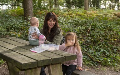 A woman with a baby and small child enjoying lunch at a picnic table in a forest