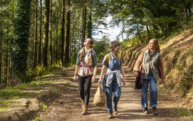 Three walkers on a forest road