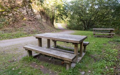 Picnic benches at Cardinham Woods