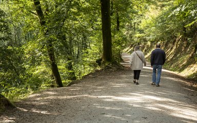 Two walkers under dappled shade