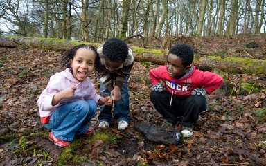 Children looking at forest floor