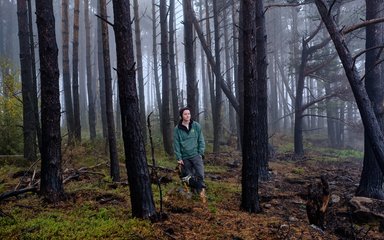 Woman stood amongst Dark tree trunks in the heart of the forest