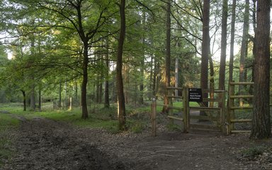 Entrance gate to Wyre Forest Arboretum