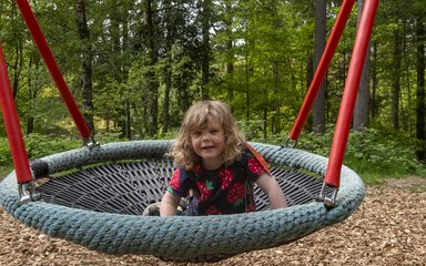 Child playing in swing