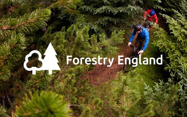 Forestry England logo over moutain bikers, shown from above