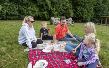 Family sitting on a picnic rug enjoying some food
