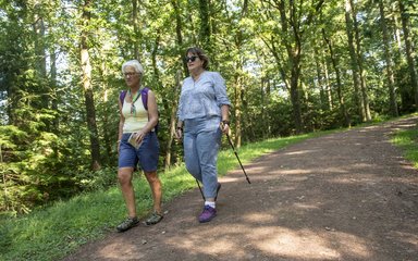 Two walkers on a forest trail