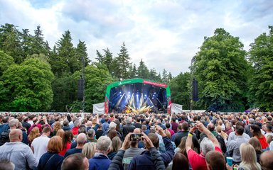 Outdoor concert crowd in a forest