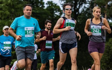 Runners in a forest running event