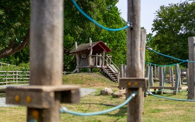 Timber play structures 