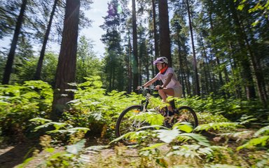 Child cycling through forest