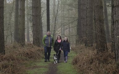 Man, woman and girl walking the dog through pine trees