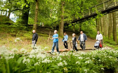 Family walking in Grizedale forest