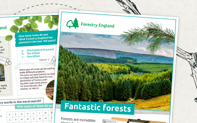Fantastic forests activity sheet 