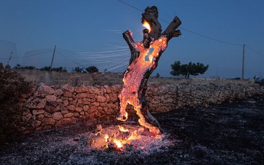 Earth Photo shortlisted work - half a tree burning