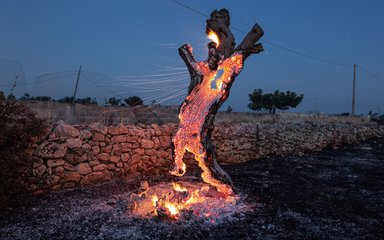 Earth Photo shortlisted work - half a tree burning