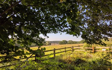 Wooden fence in front of fresh green field on sunny day