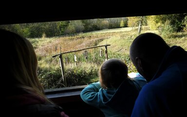 Family at wildlife hide fineshade wood