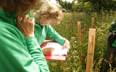 Two volunteers consult a clipboard whilst looking at some spring foliage amongst a planting site with colourful tree tubes