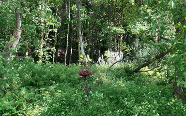 A metal flower sculpture in the forest