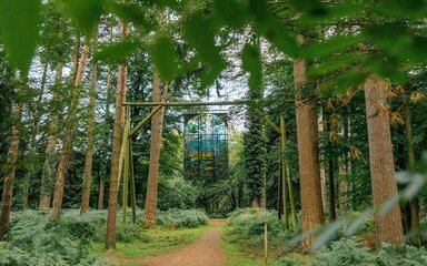 A decorated stained glass pane hangs over a forest path.