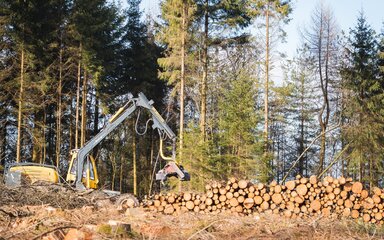 Tree harvester vehicle by a log stack in the forest.