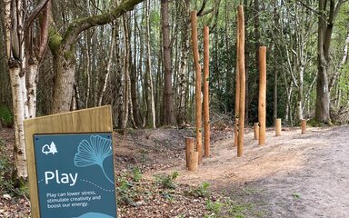 Play sign in the foreground with balance vertical logs in the background