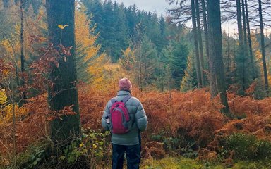 Man stood in forest