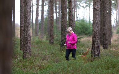 Dilly running in Haldon Forest 