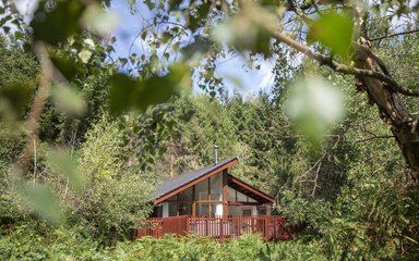Forest Holidays cabin in the forest on a sunny day