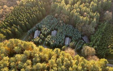 Aerial view of four cabin roofs nestled amongst autumn trees in the forest.