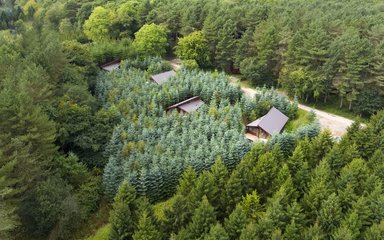 Aerial view of four cabin roofs nestled amongst trees in the forest.