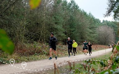 Group of runners on a dirt track in pine forest