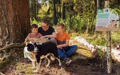 A women sits on a log in the forest with two children and a dog, looking at a leaflet.